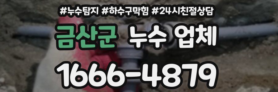 금산군 누수 업체