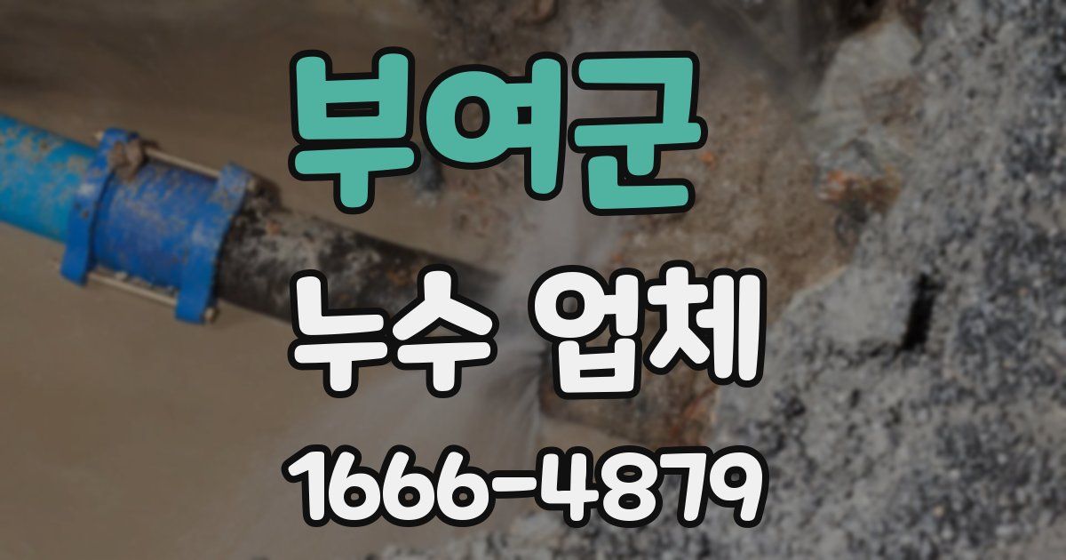 부여군 누수 업체
