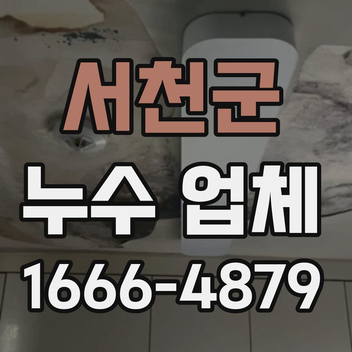 서천군 누수 업체
