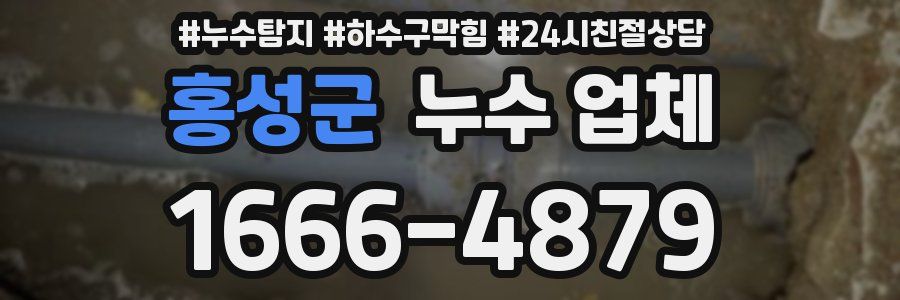 홍성군 누수 업체