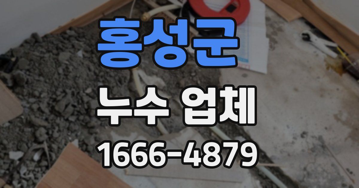 홍성군 누수 업체