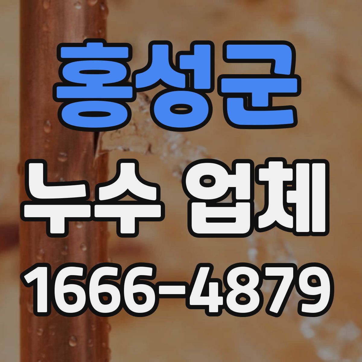 홍성군 누수 업체