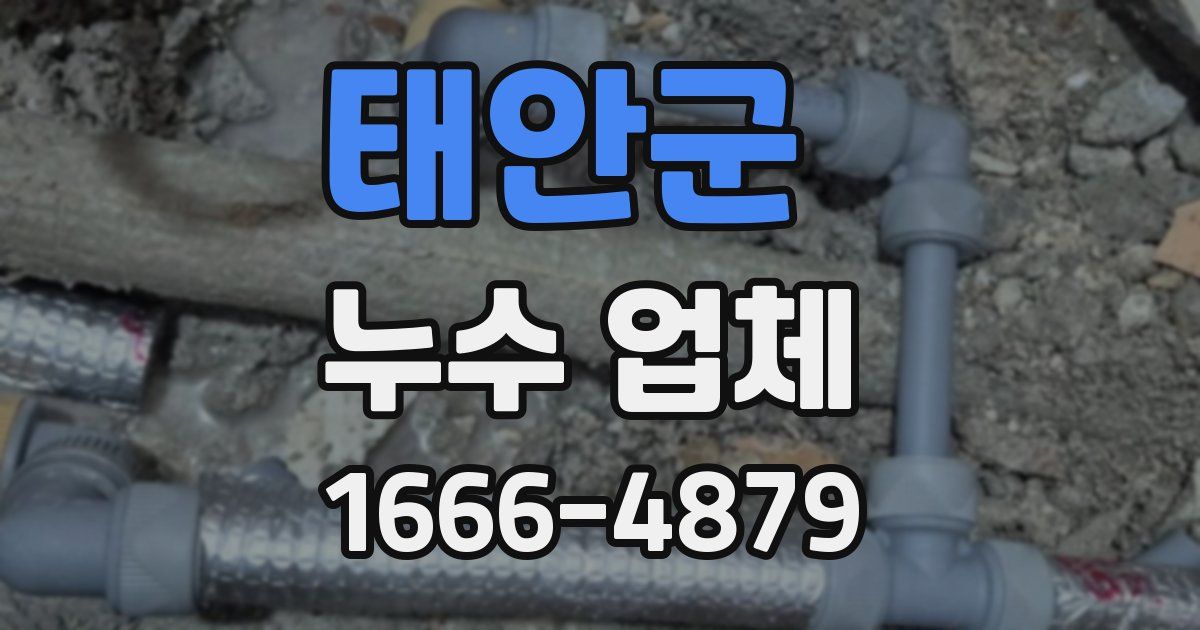 태안군 누수 업체