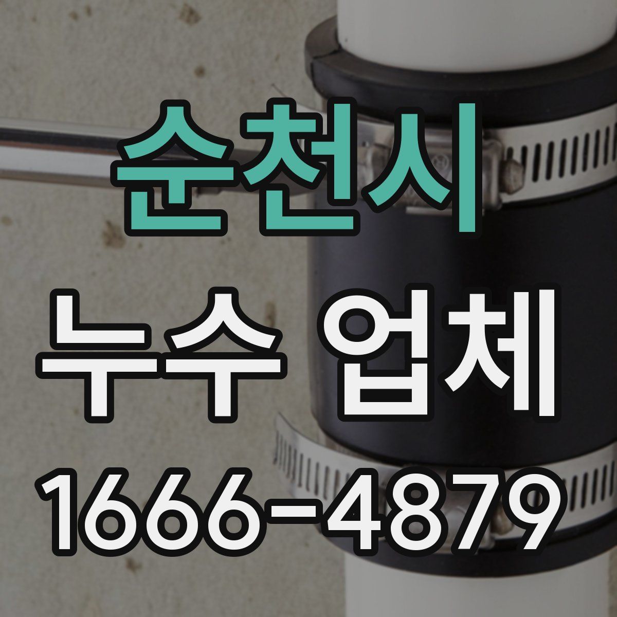 순천시 누수 업체