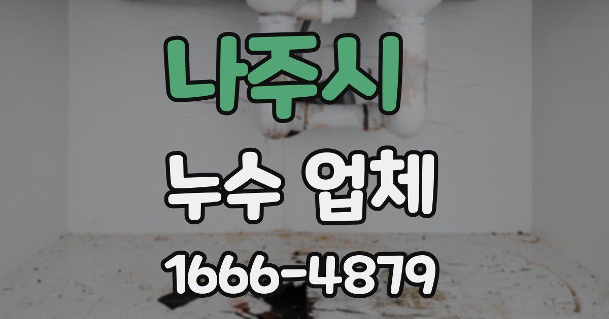나주시 누수 업체
