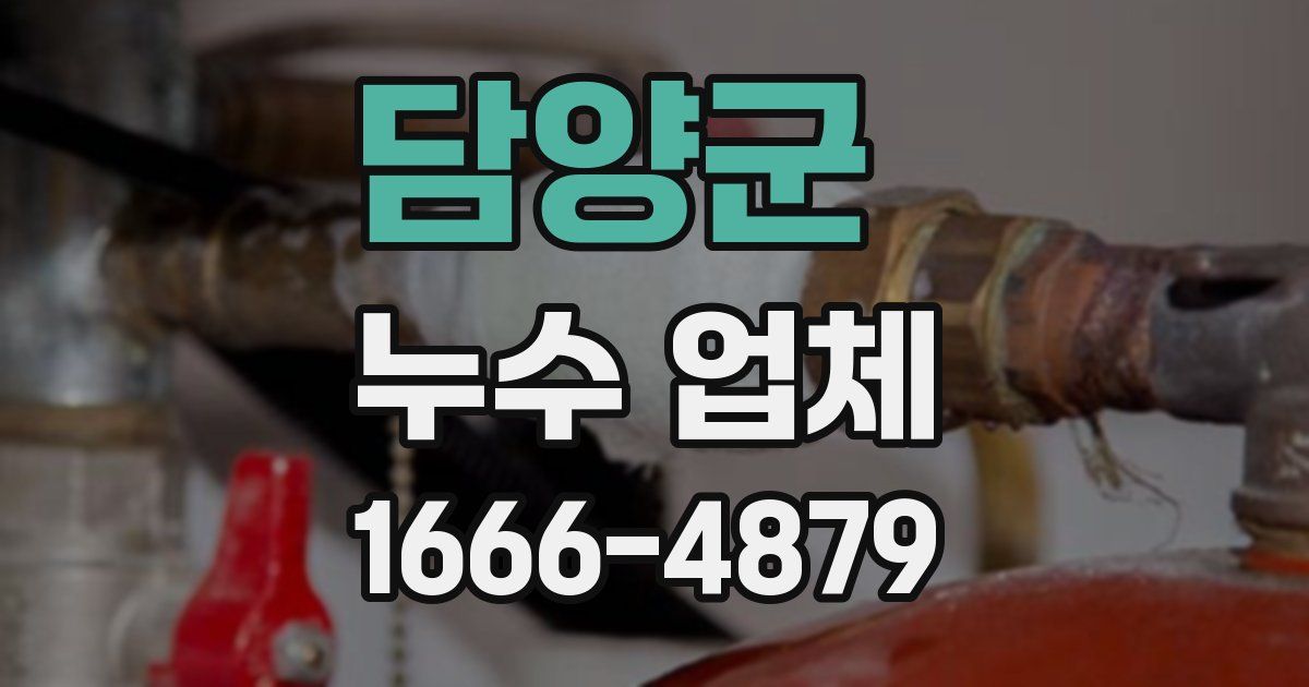담양군 누수 업체