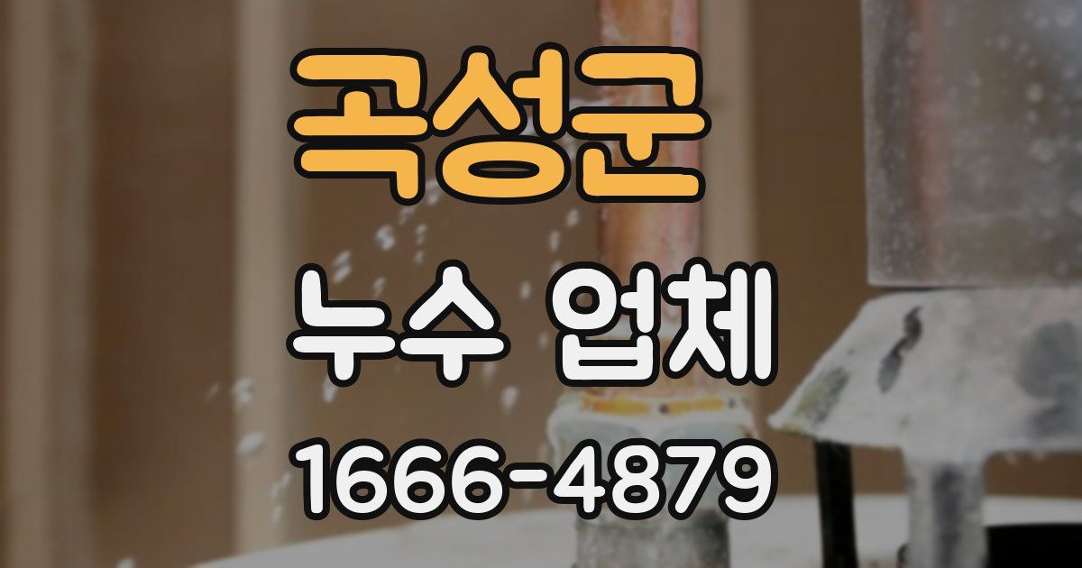 곡성군 누수 업체