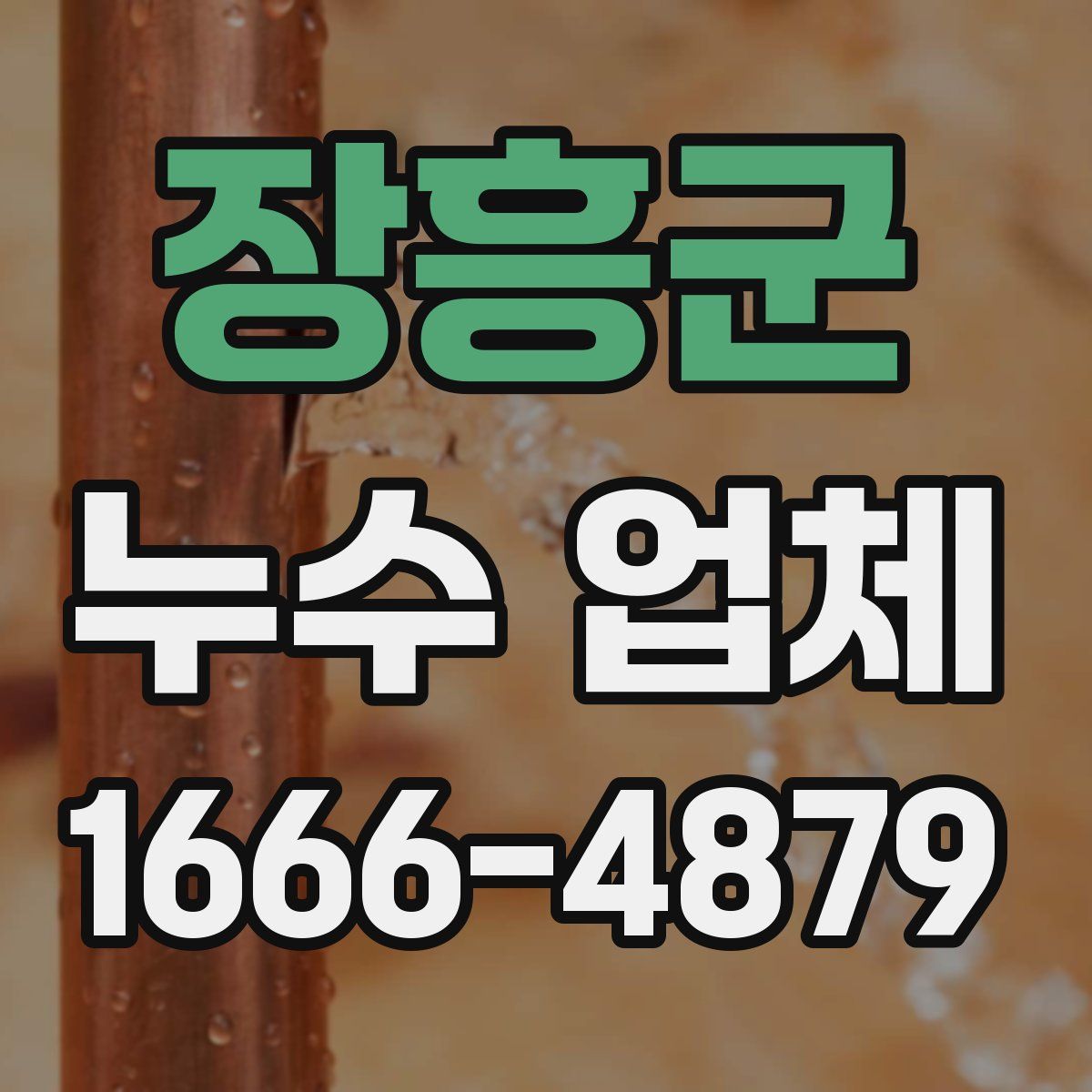 장흥군 누수 업체
