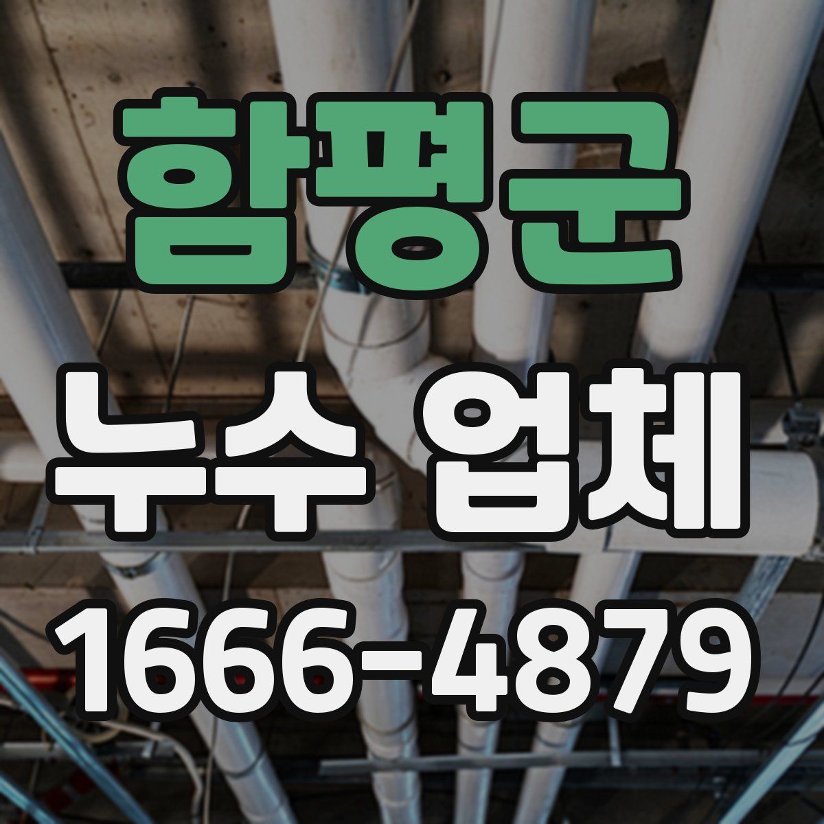 함평군 누수 업체