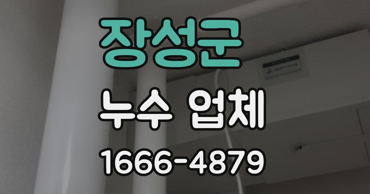 장성군 누수 업체