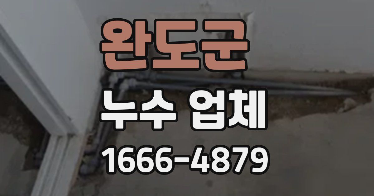 완도군 누수 업체
