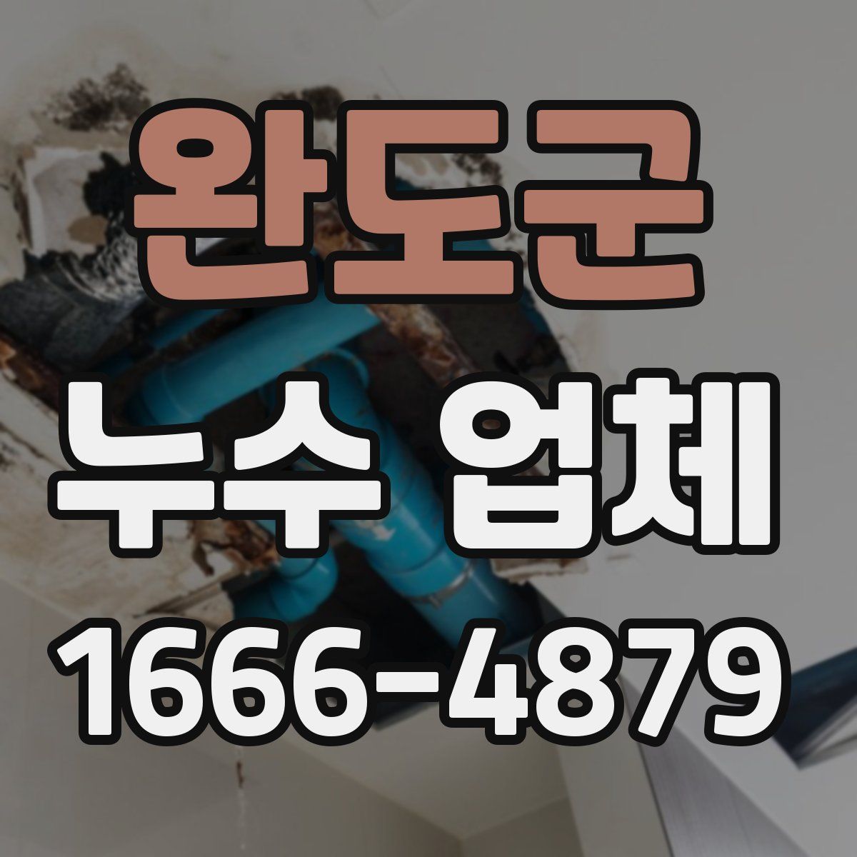 완도군 누수 업체