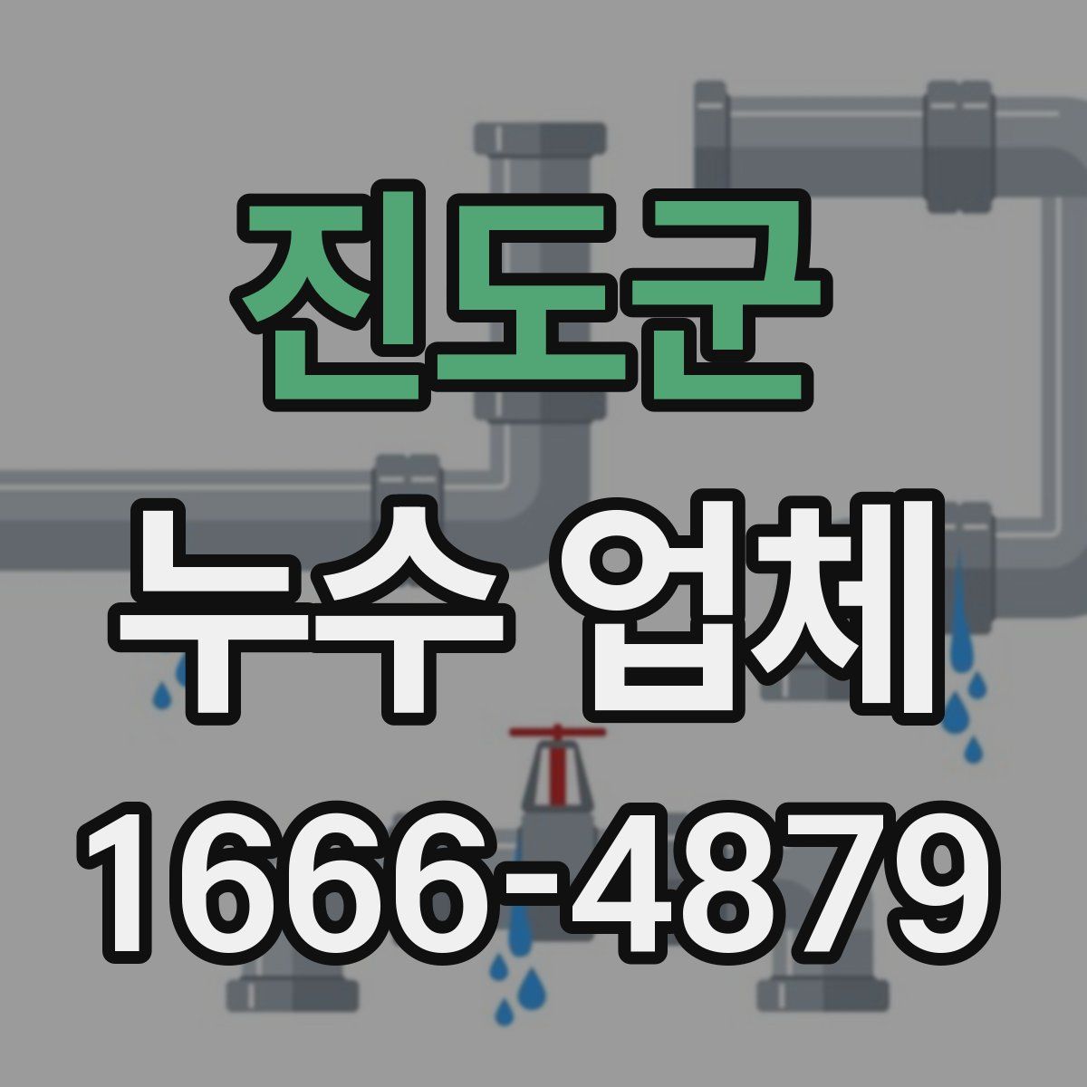 진도군 누수 업체