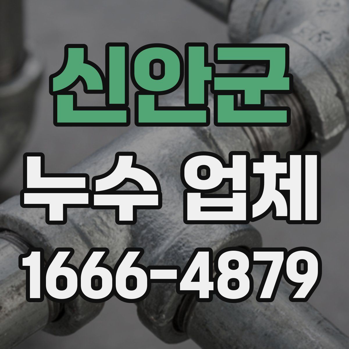 신안군 누수 업체