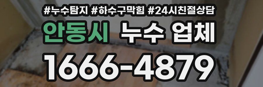 안동시 누수 업체