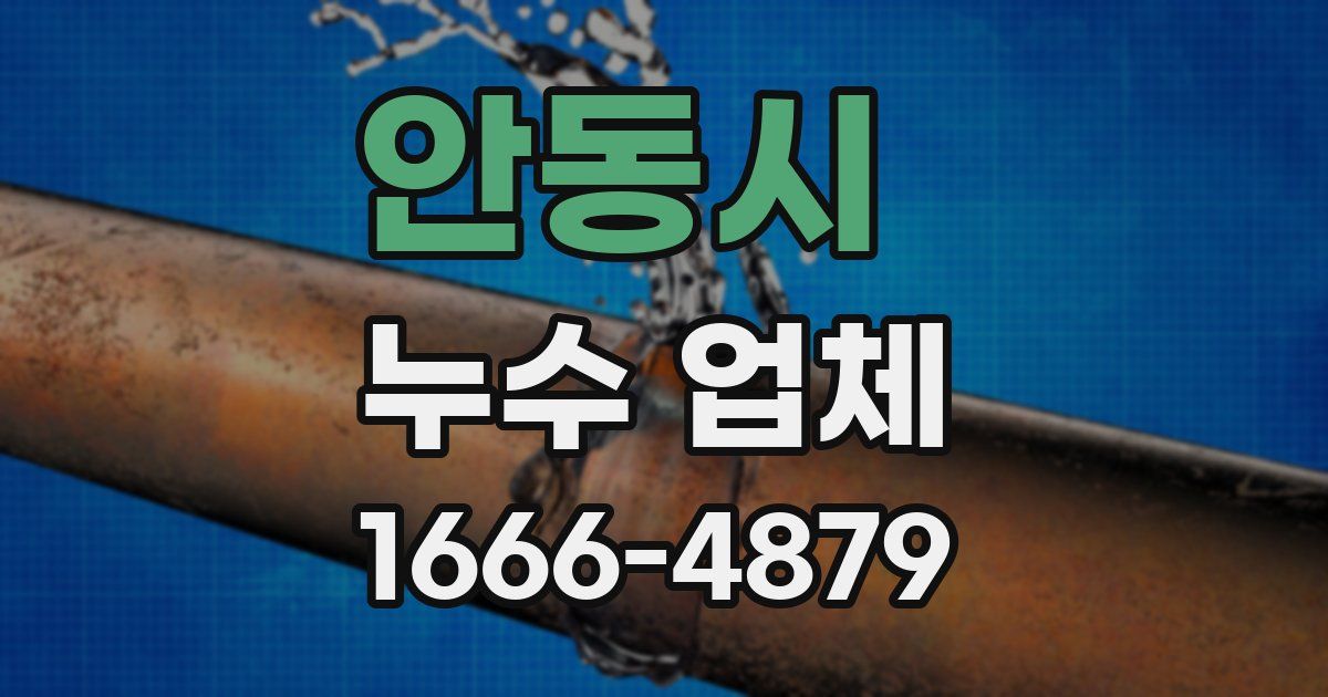 안동시 누수 업체