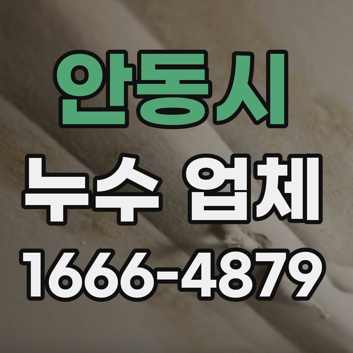 안동시 누수 업체