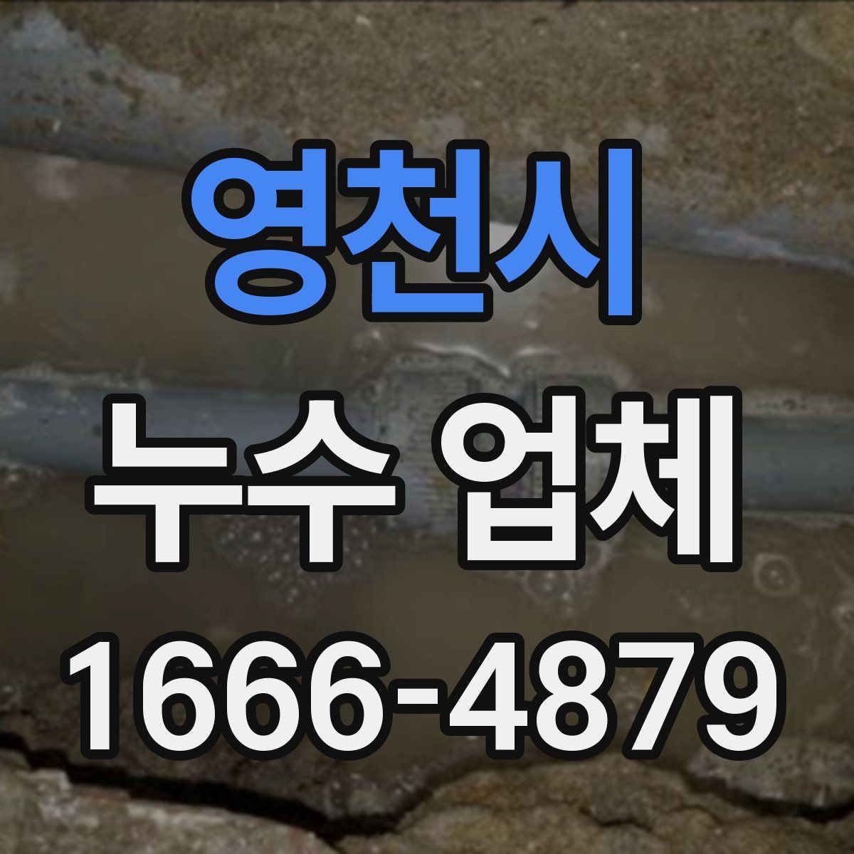 영천시 누수 업체