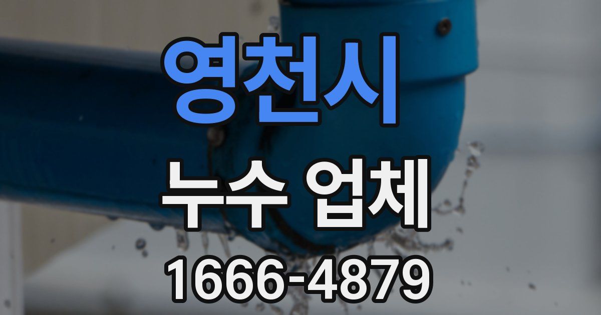 영천시 누수 업체