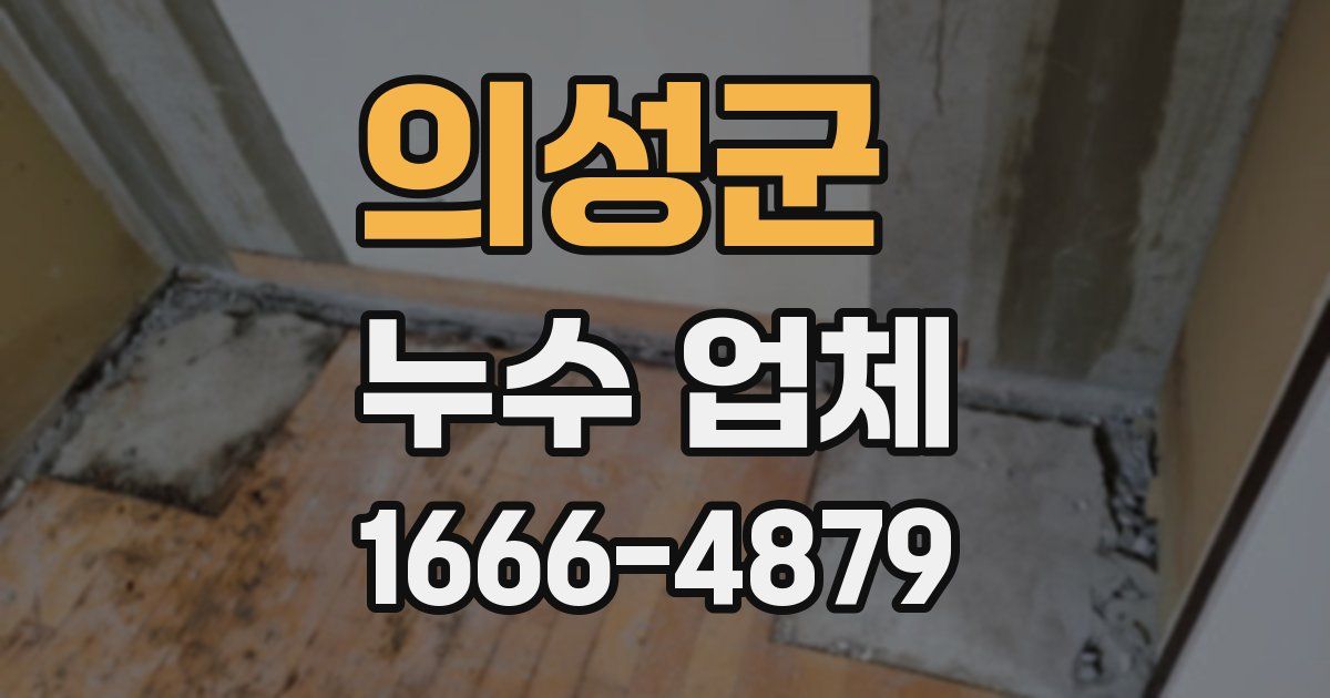 의성군 누수 업체