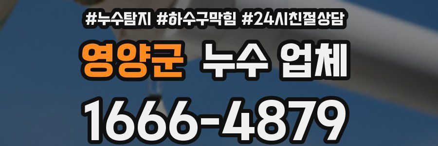 영양군 누수 업체