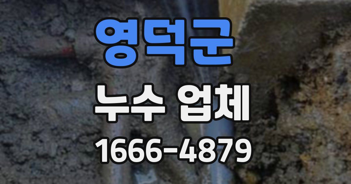 영덕군 누수 업체