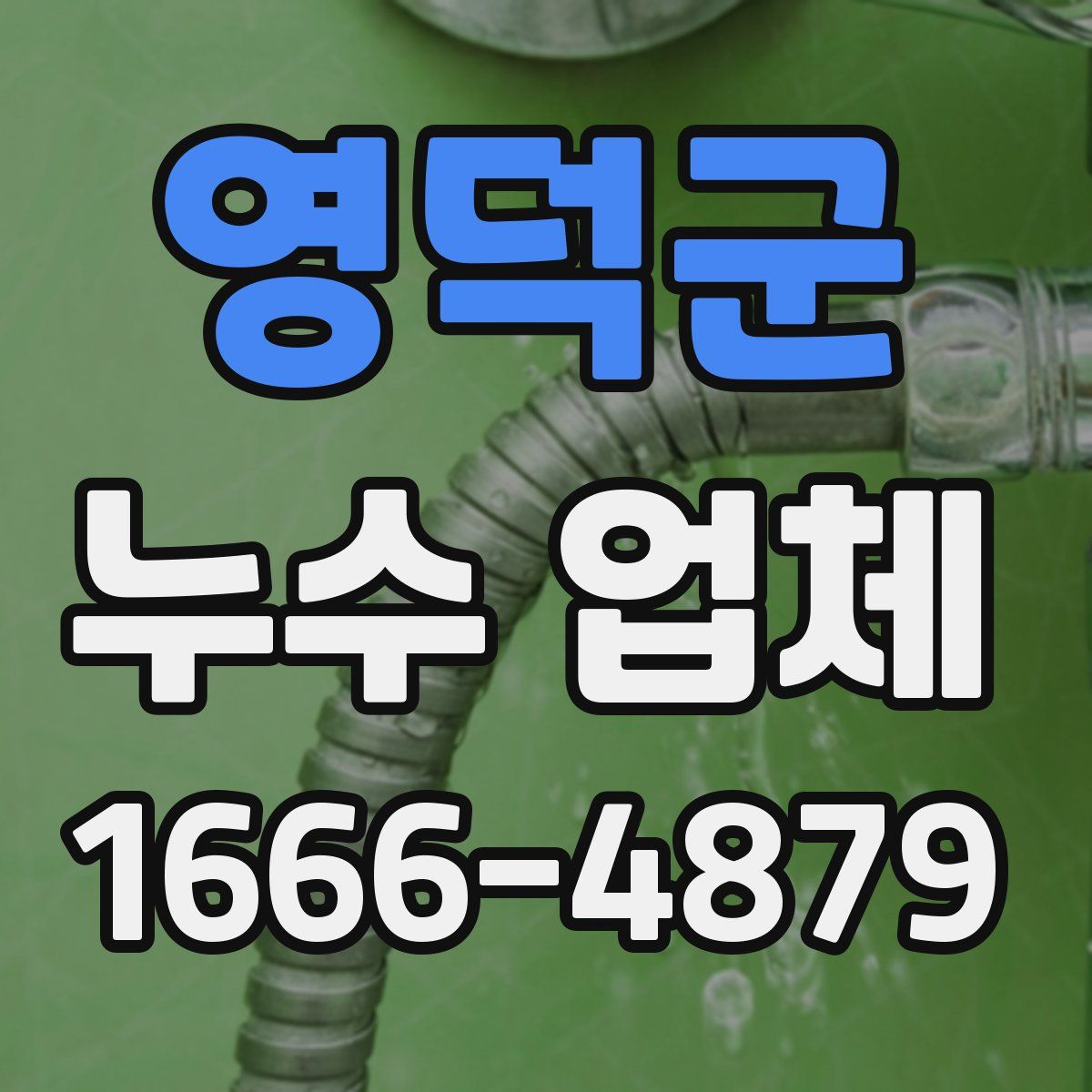 영덕군 누수 업체