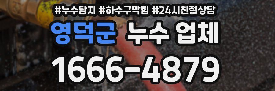 영덕군 누수 업체