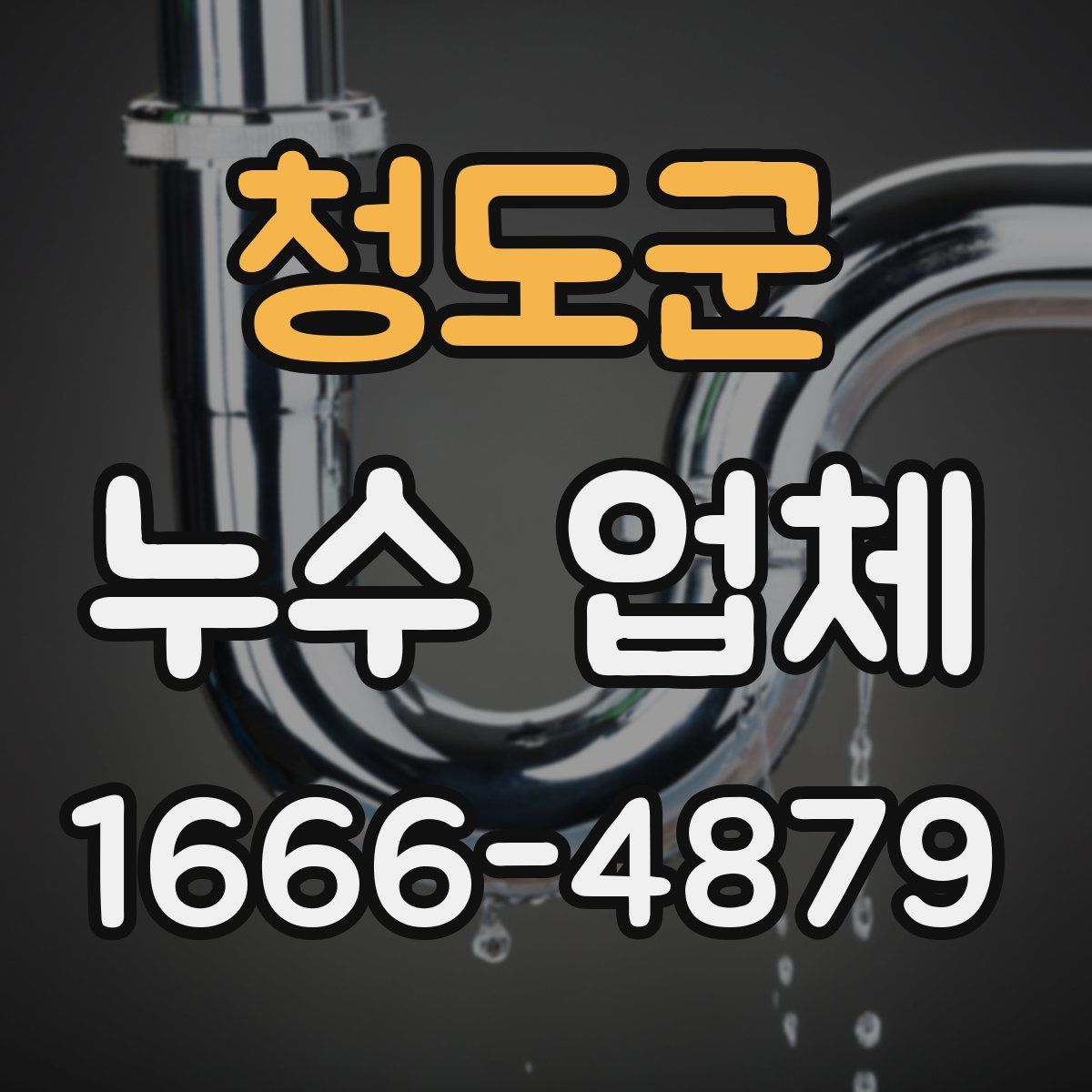 청도군 누수 업체