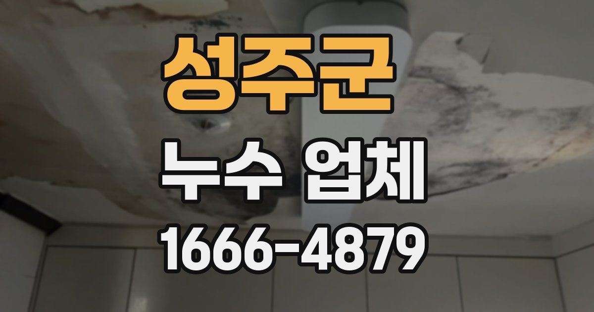 성주군 누수 업체