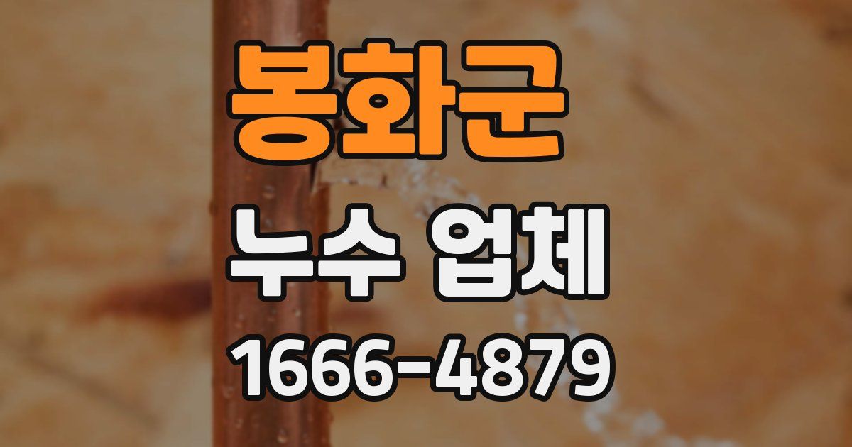 봉화군 누수 업체