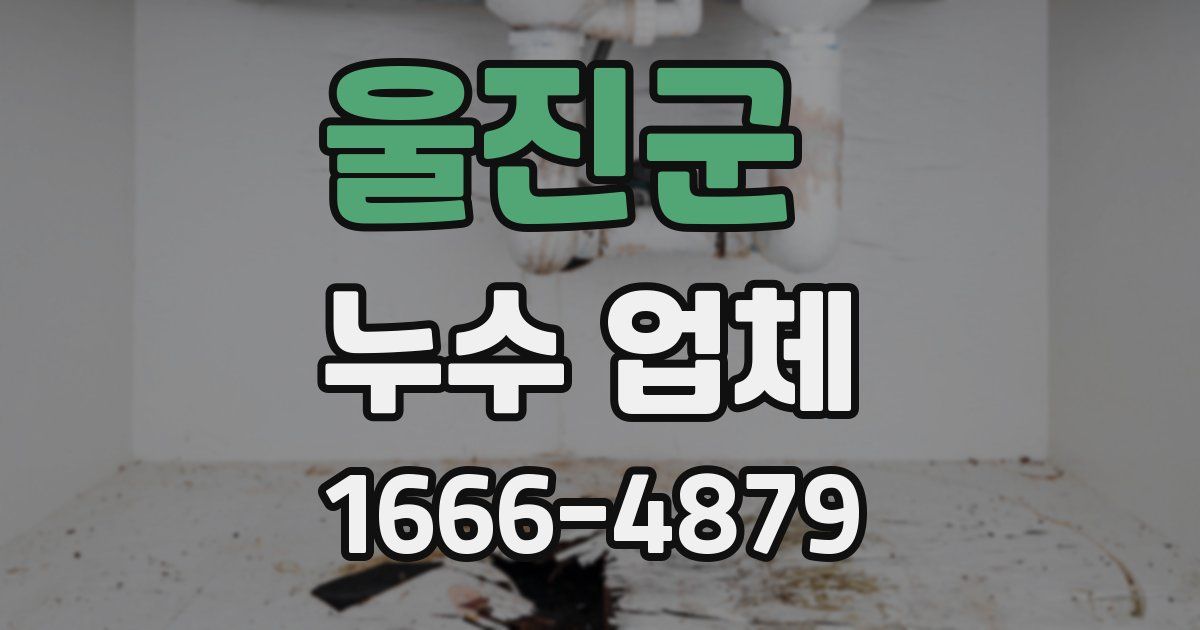 울진군 누수 업체