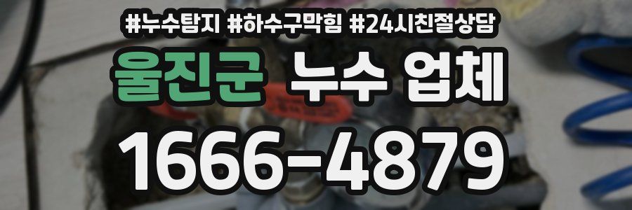 울진군 누수 업체