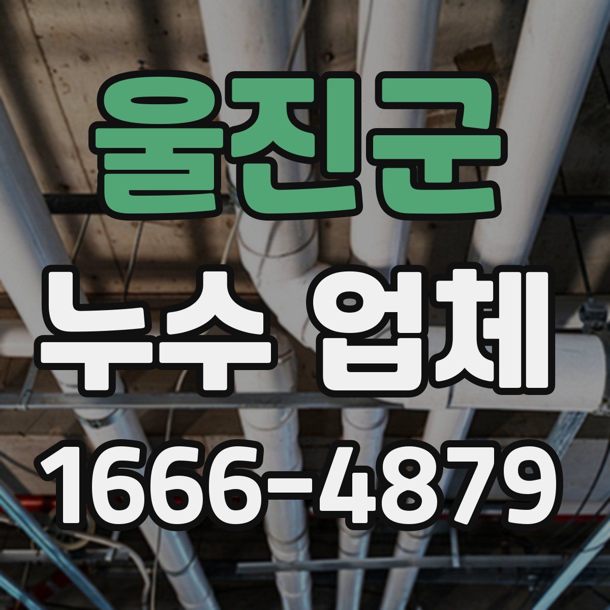 울진군 누수 업체