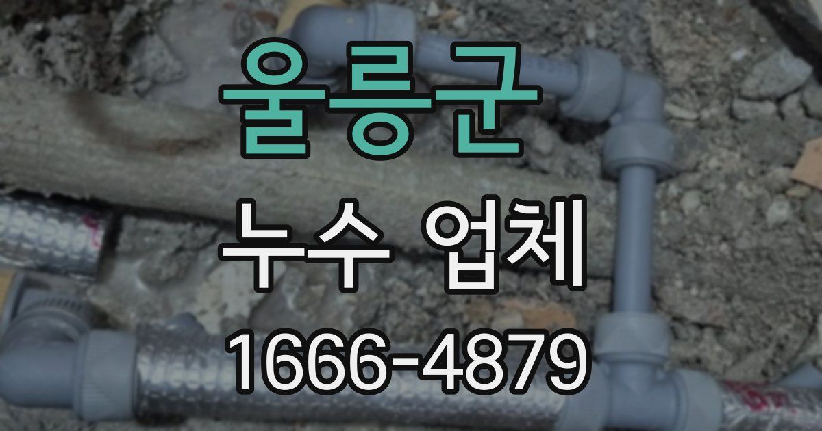 울릉군 누수 업체