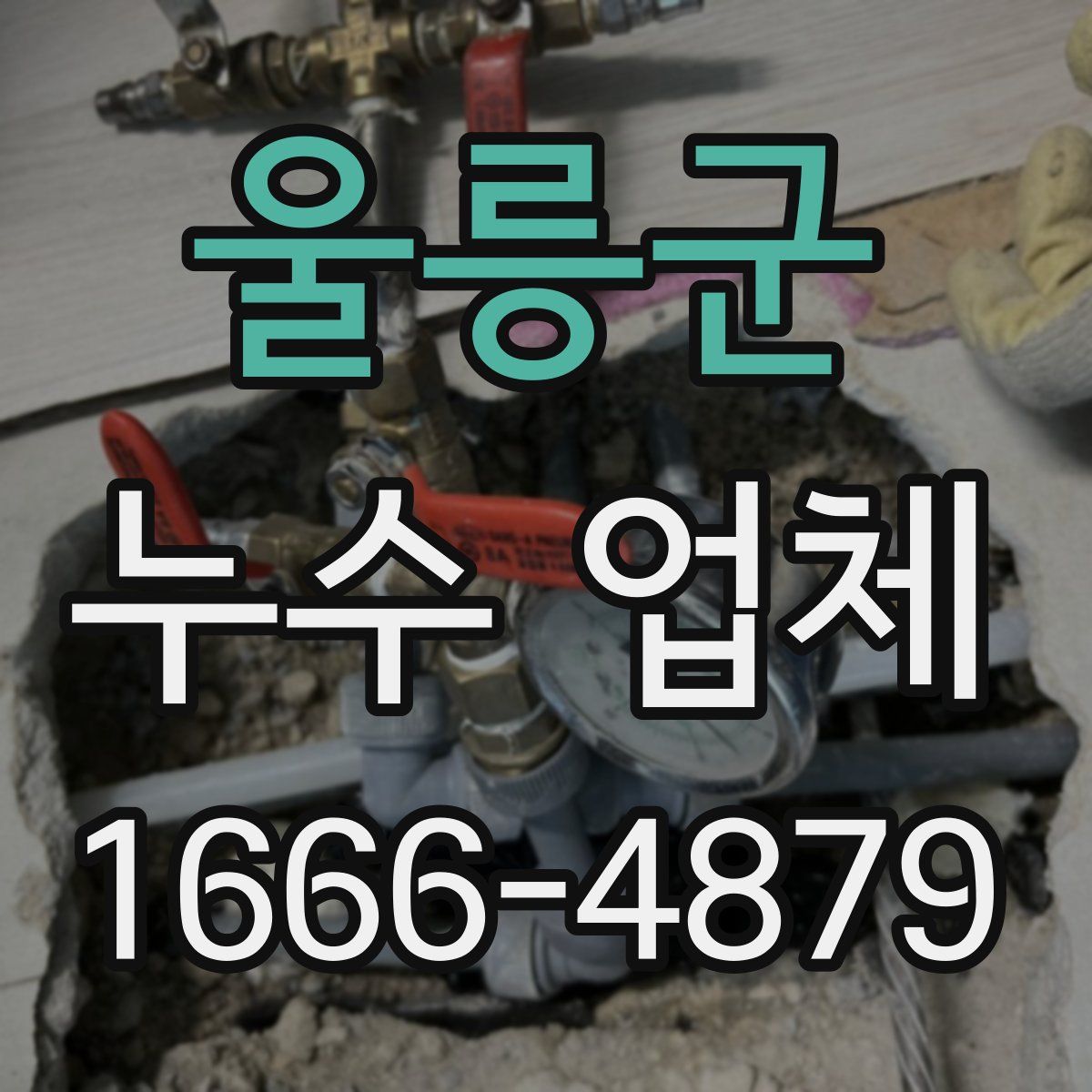 울릉군 누수 업체