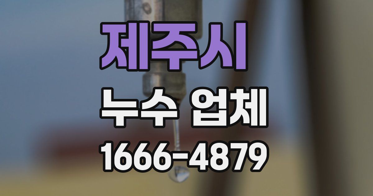 제주시 누수 업체