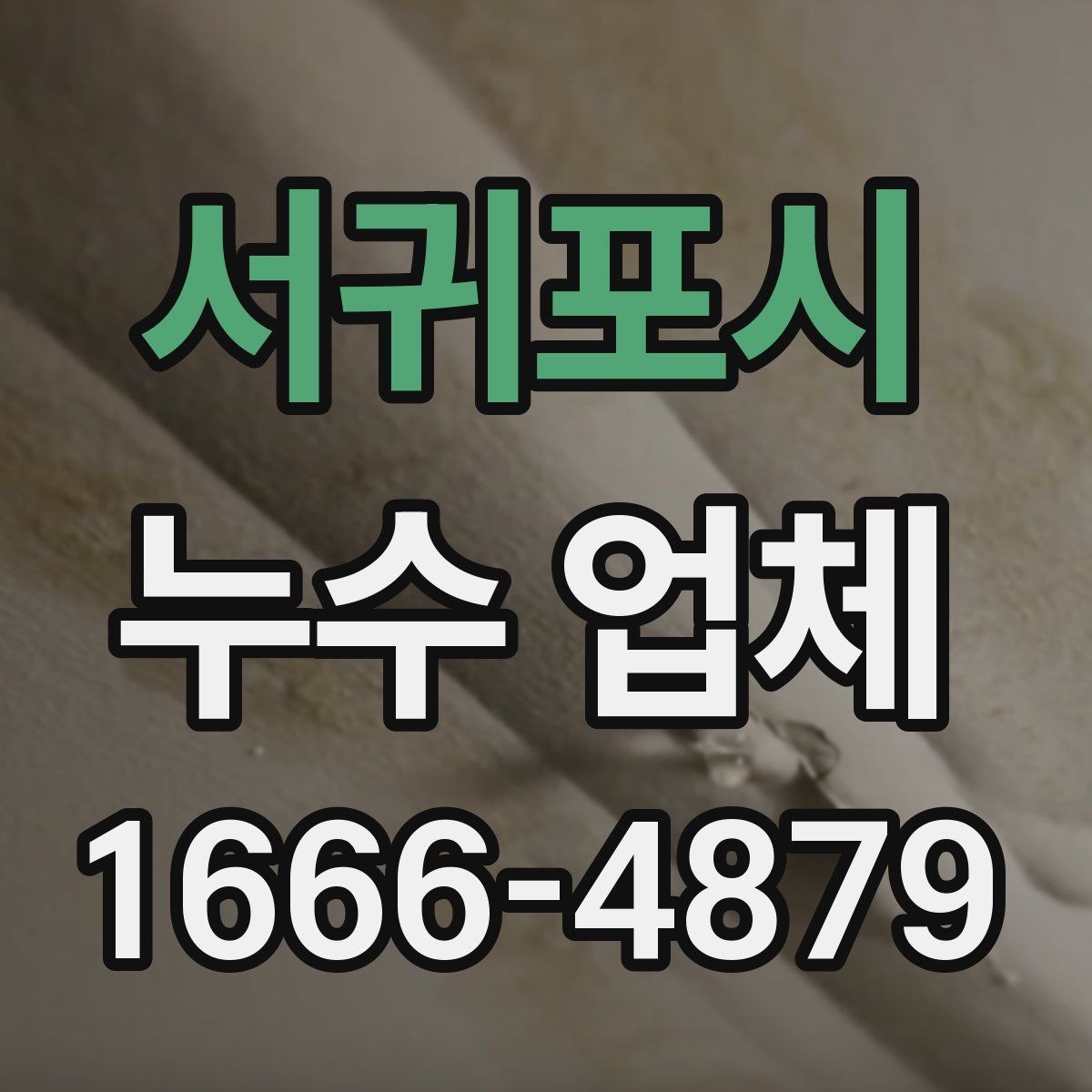 서귀포시 누수 업체