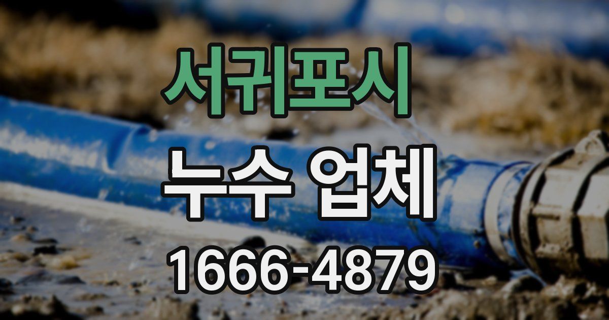서귀포시 누수 업체