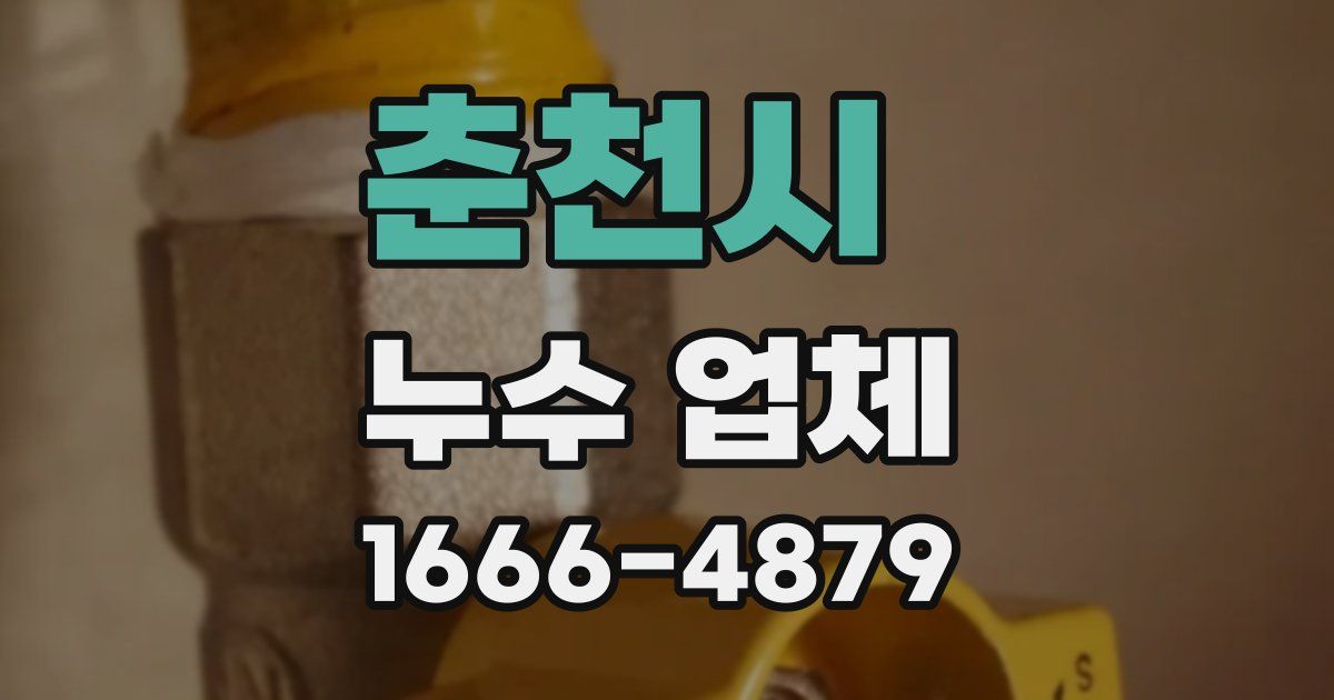 춘천시 누수 업체