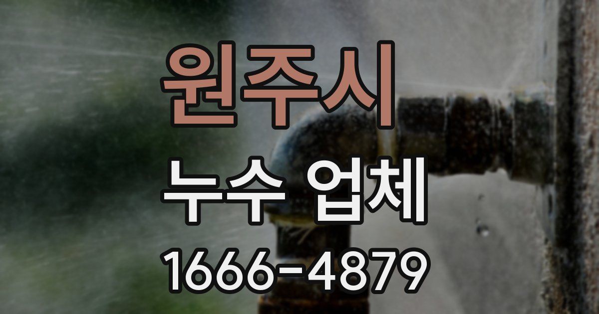 원주시 누수 업체