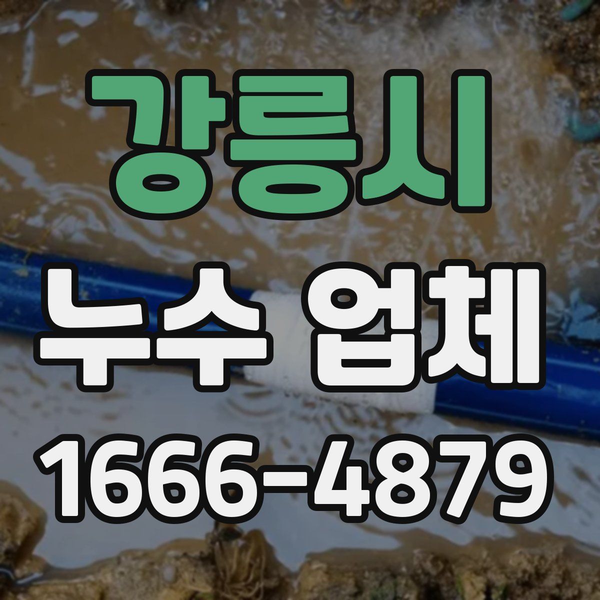 강릉시 누수 업체