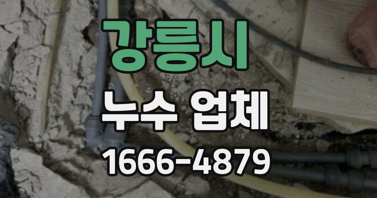 강릉시 누수 업체