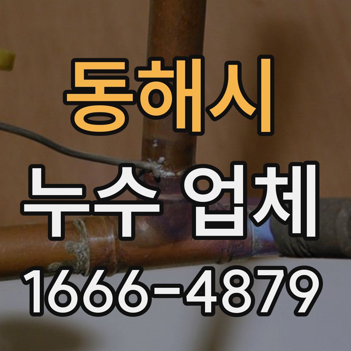 동해시 누수 업체