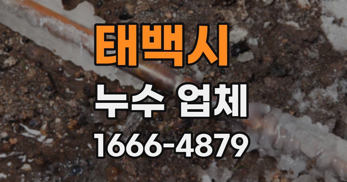 태백시 누수 업체