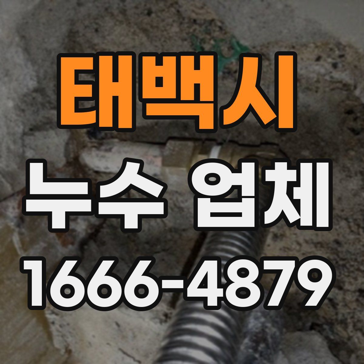 태백시 누수 업체