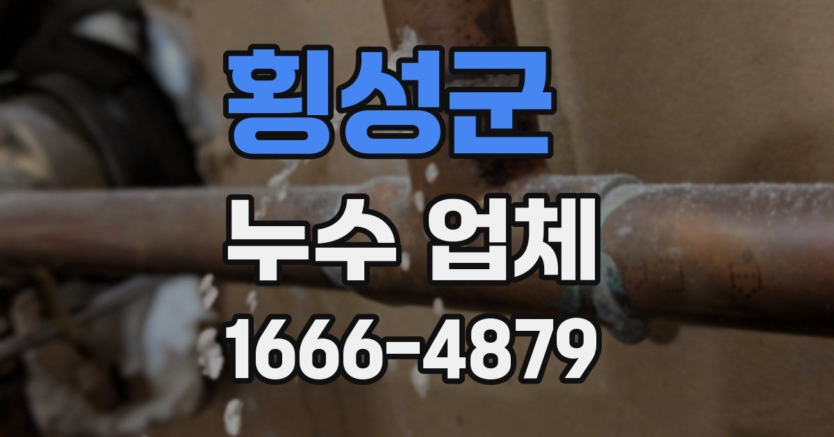 횡성군 누수 업체