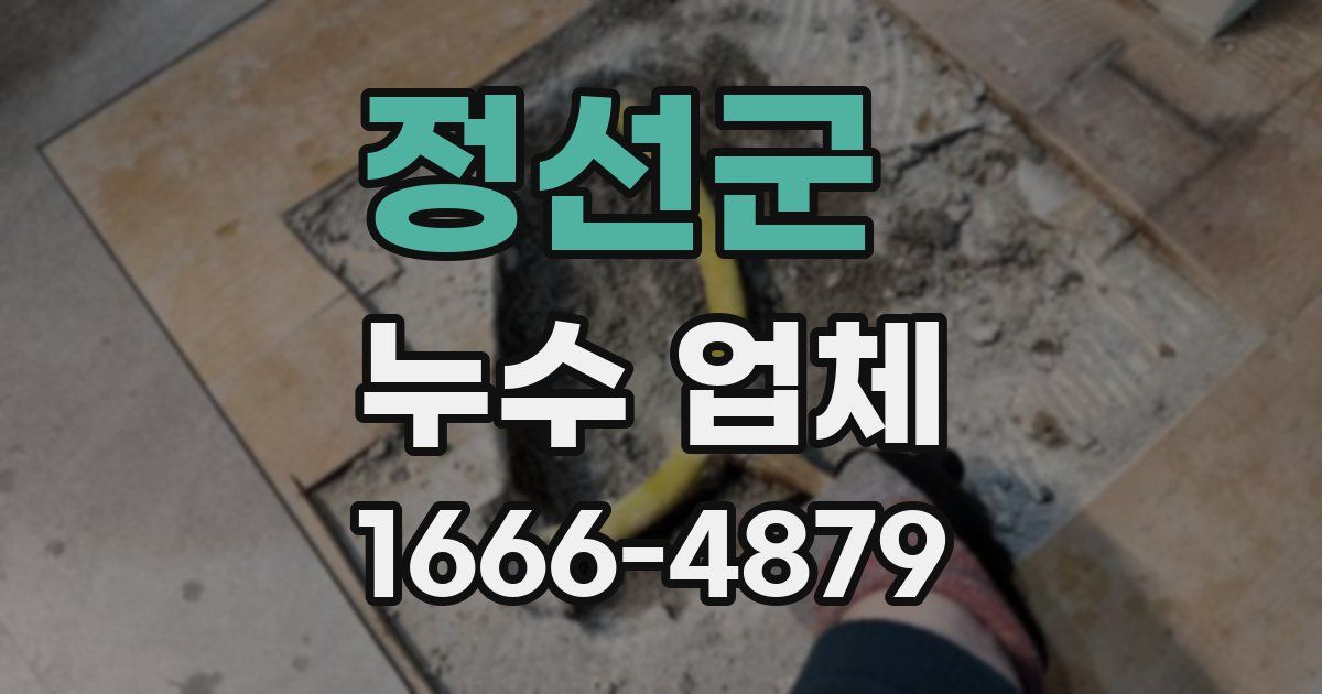 정선군 누수 업체