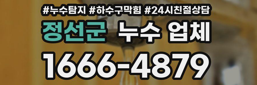 정선군 누수 업체
