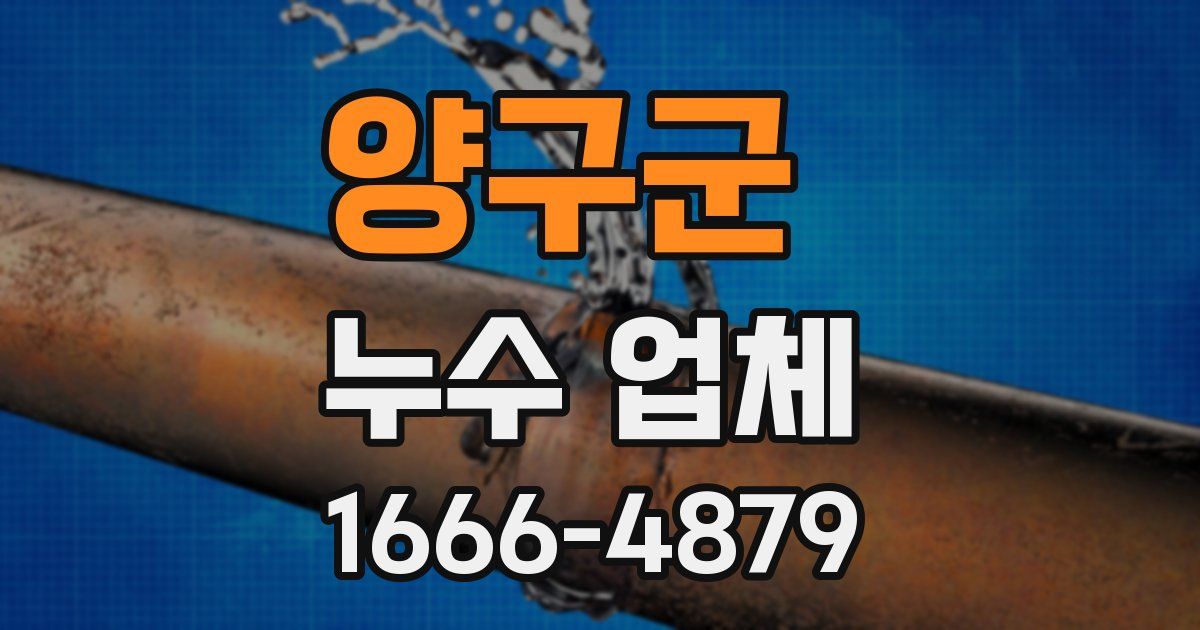 양구군 누수 업체